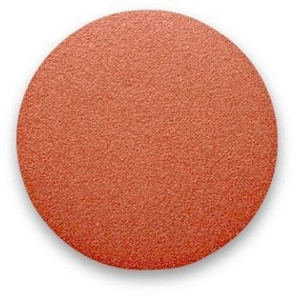 Disk zimpara 1919 Ø125mm P40 deliksiz F03E001D8J