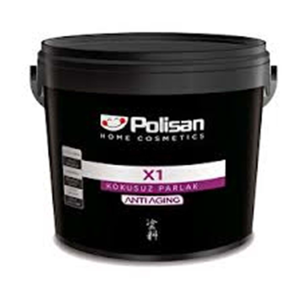 POLISAN PANEL KAPI BOYASI X1 MIX A BAZ 2,5 LT
