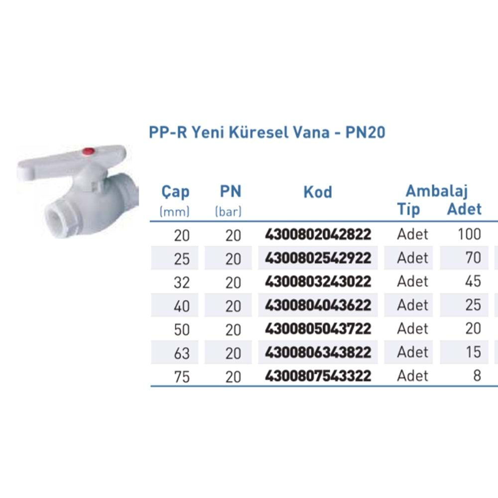 PPR Vana Yeni Küresel Byz d63