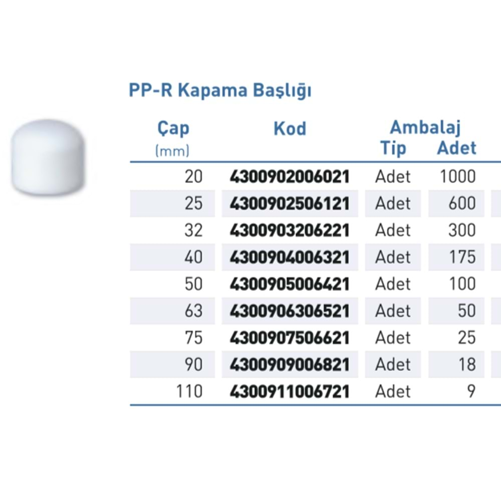 PPR Kapama Başlığı Byz d20