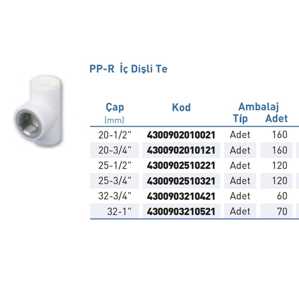 PPR Te İç Diş Byz BSPP-G d20-1/2