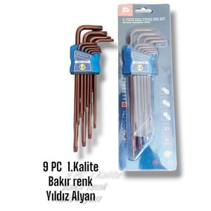 ALYAN TAKIMI TORX L TİPİ UZUN HEX KEY 9 PARÇA