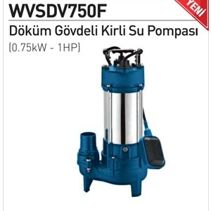 RAINPUMP ATIK SU POMPASI RAINWVSDV750F