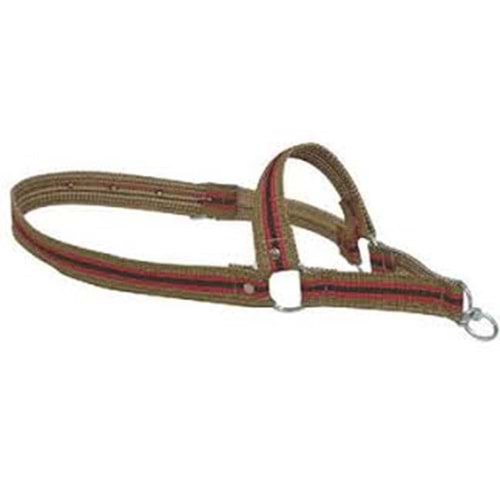 BÜYÜKBAS HAYVAN TASMASI PALASKA 5 CM (70-80 CM)