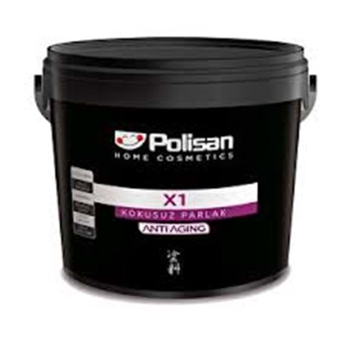 POLISAN PANEL KAPI BOYASI X1 MIX A BAZ 2,5 LT