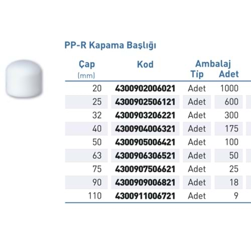 PPR Kapama Başlığı Byz d20