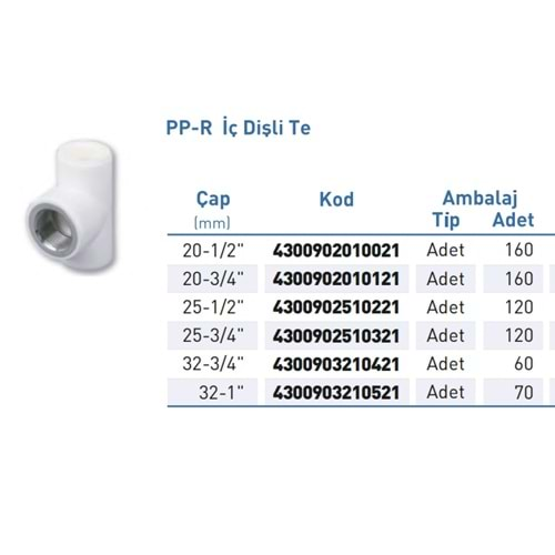 PPR Te İç Diş Byz BSPP-G d32-1