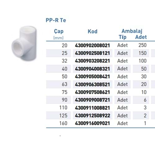 PPR Te Byz d50