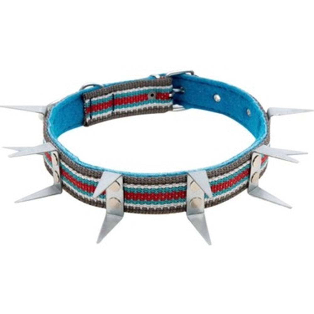 KÖPEK TASMASI ÇIVILI 4 CM (70 CM)