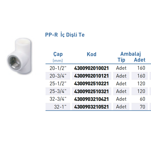 PPR Te Iç Dis Byz BSPP-G d25-1/2
